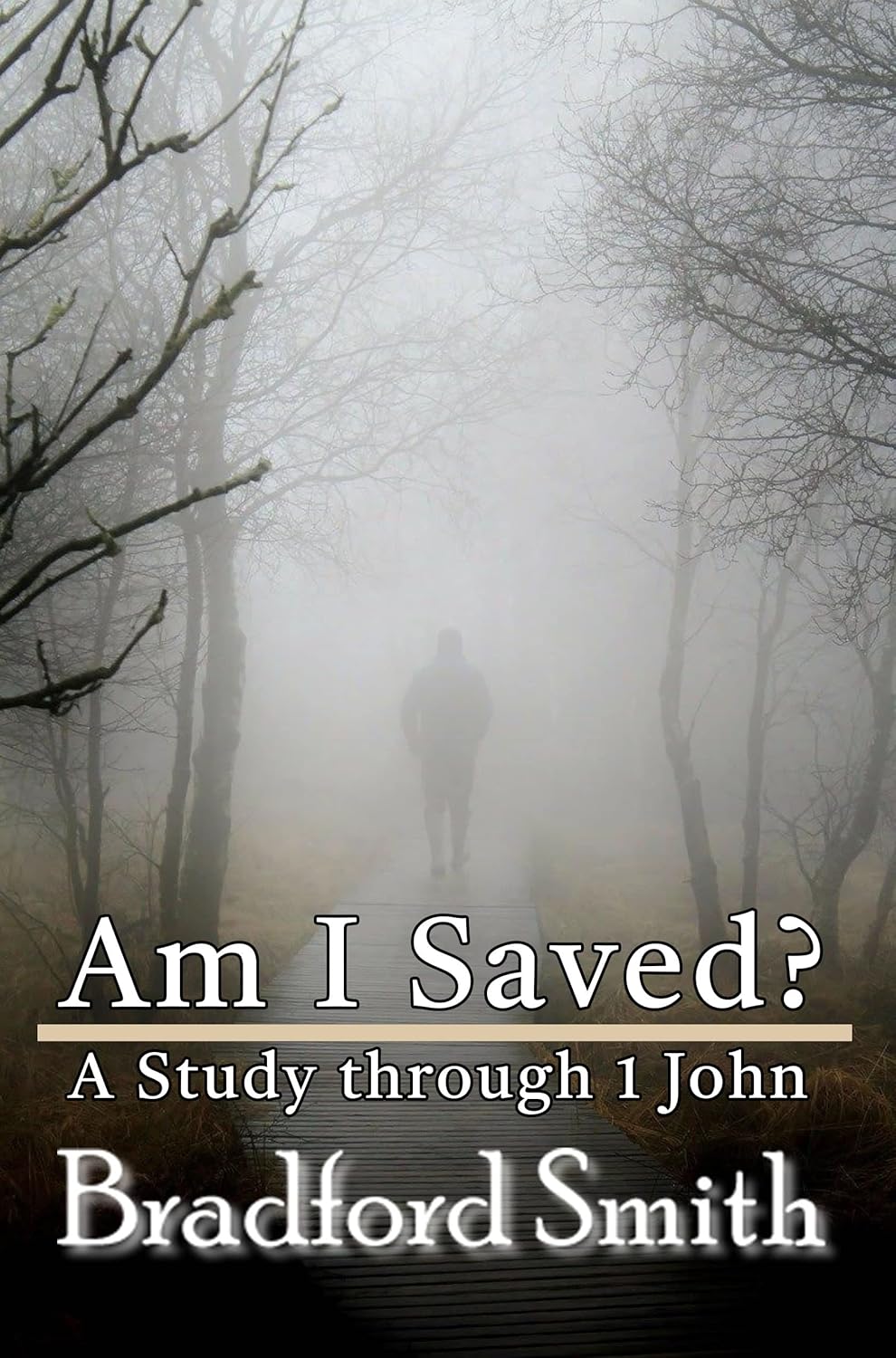 Am I Really Saved? A Study Through 1 John book cover