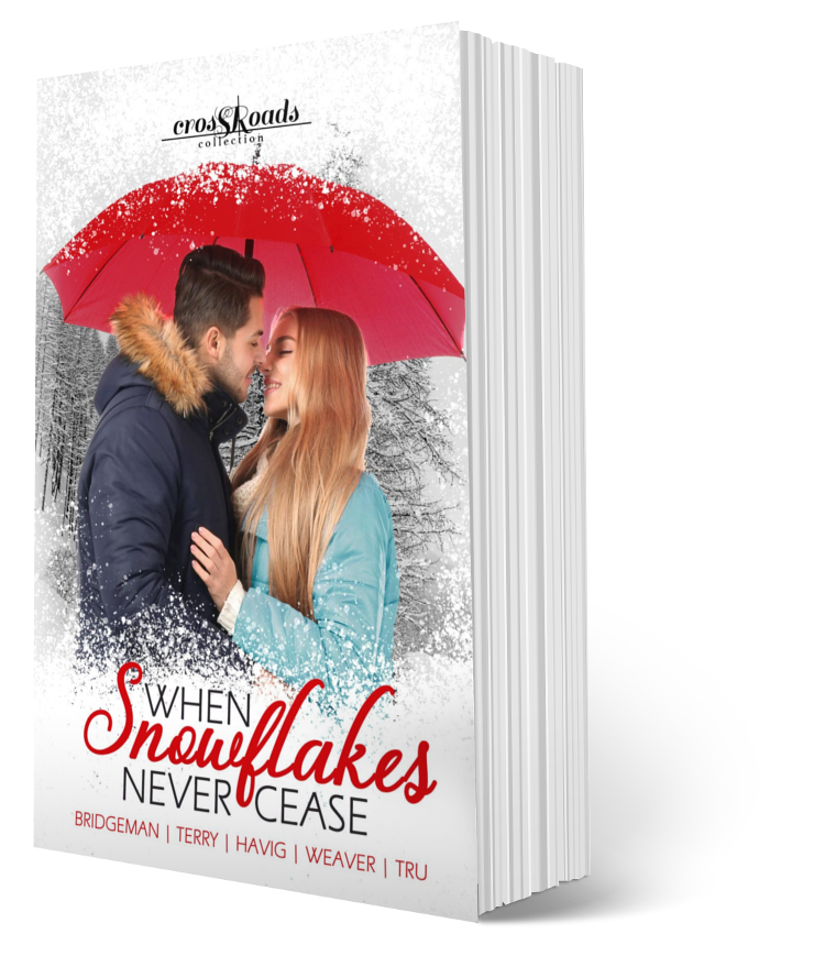 When Snowflakes Never Cease - Image 3